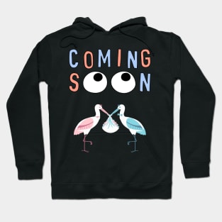 Mother's To Be, New Moms, Baby Announcement Cute, Storks, Coming Soon Design Hoodie